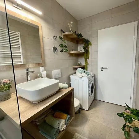 公寓 Belmonte 布拉索夫