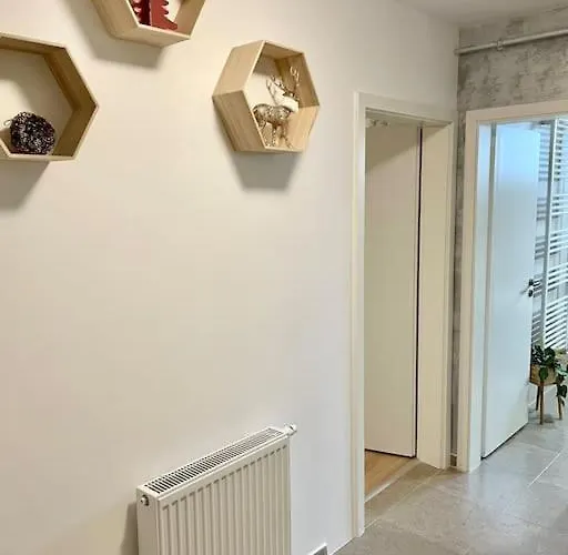 Apartment Belmonte Brasov